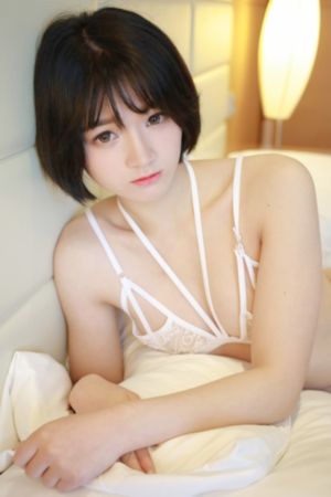 日本乱人伦a综艺网站_高清电影完整版在线观看