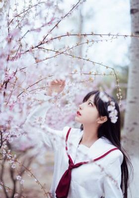 欧美高清电影_剧情片高清电影在线